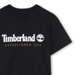 T60968 09b 003