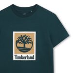T60969 68r 003
